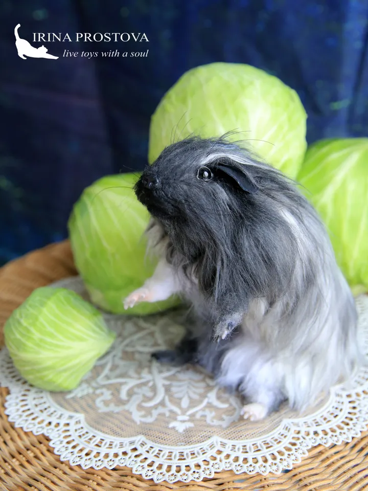 Guinea pig Tuffy .Plush animals. Ooak toy. Guinea pig stuffed toy