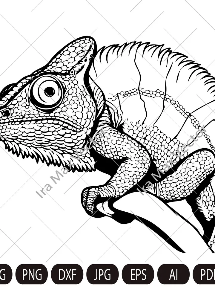 Chameleon SVG / Chamaeleons SVG / Lizard svg/ Blend Adapt Change Color / Cutting Files Silhouette Printable Clipart Vector Digital download