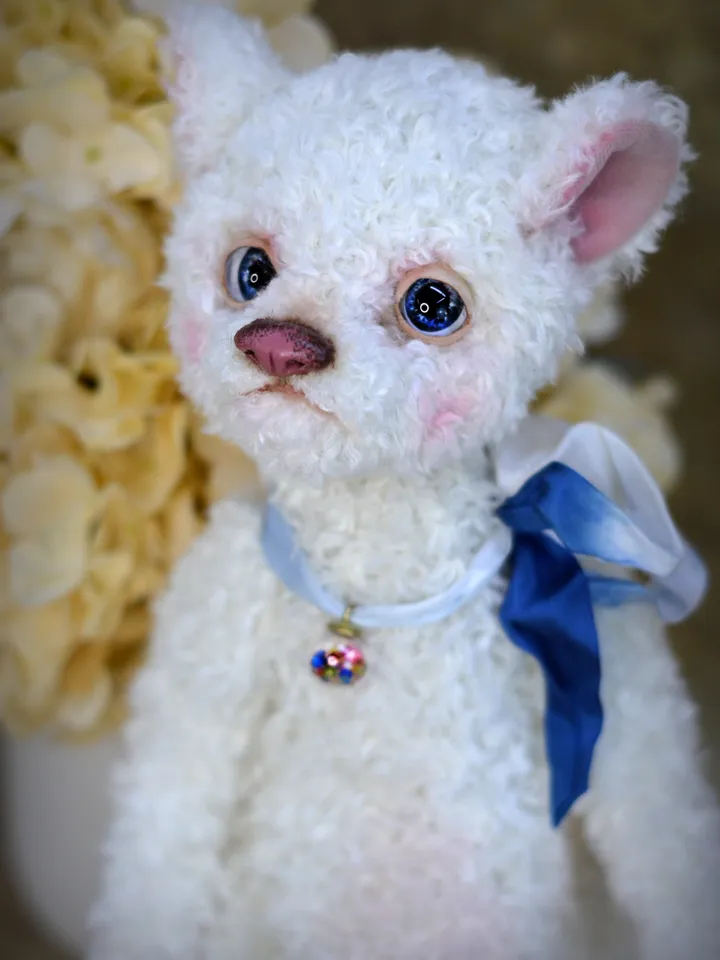 Teddy bear, a soft toy