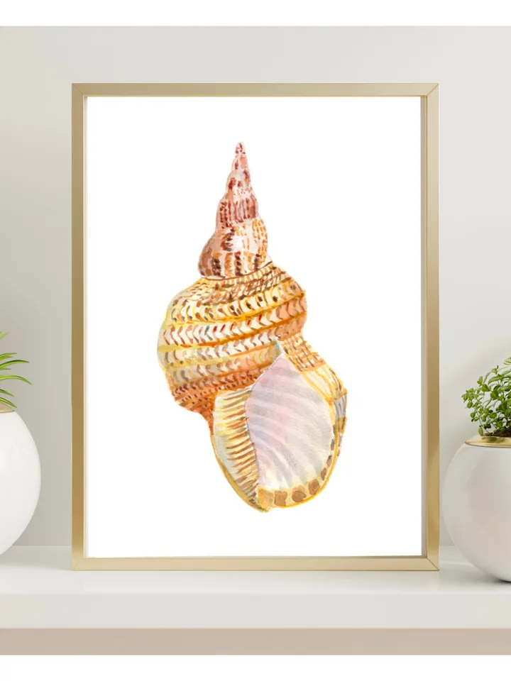 Shell art  Sea Shell Art Shell Decor Beach Cottage Art Sea Shells Painting Marine Aqua Beach House Art Beach Art Marine Aqua