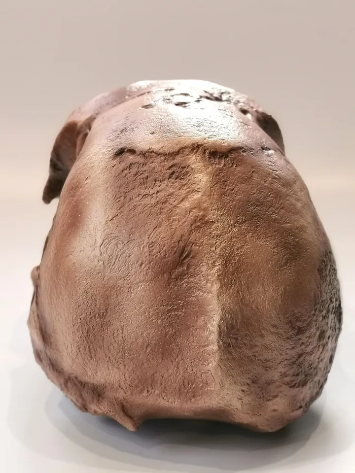 Homo Erectus Georgicus Skull Replica, Prehistoric Fossil Collection, Realistic Hominid Skull