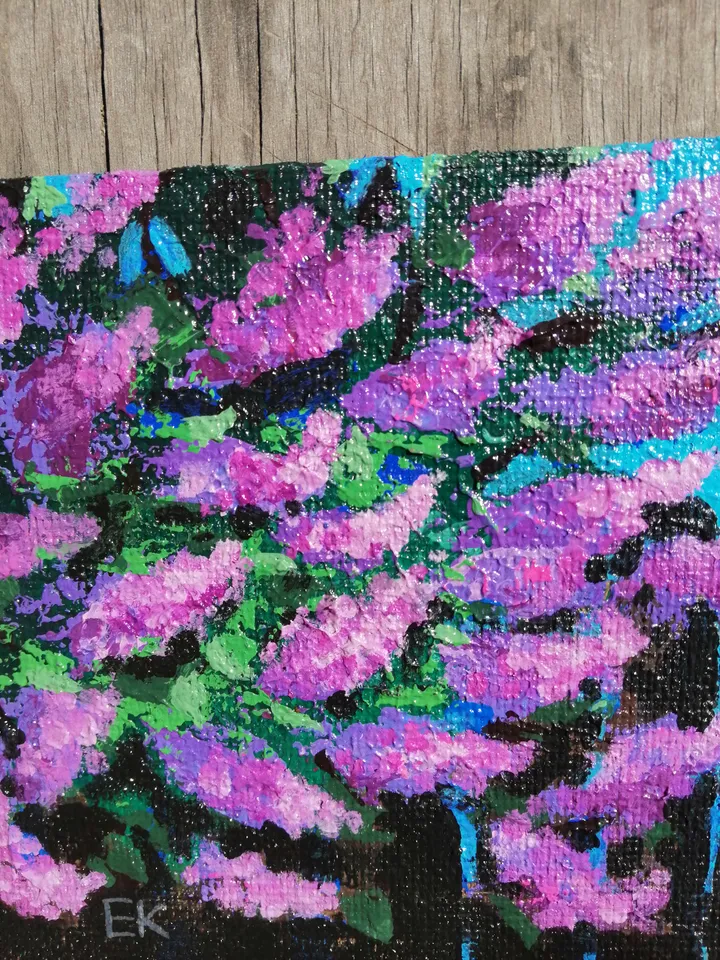 Lilac blooms