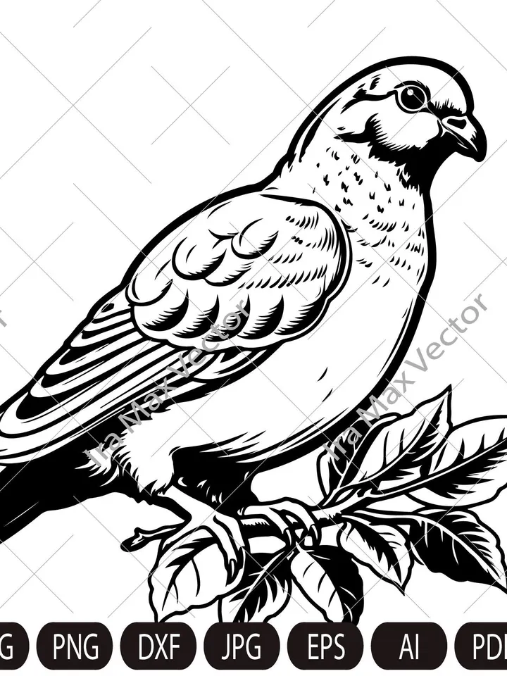 Pigeon dove svg, Standing Pigeon svg, Pigeon on the branch,Bird svg - Clipart, Silhouette, Laser, Vinyl Cutter, Decal Sticker, T-Shirt File.