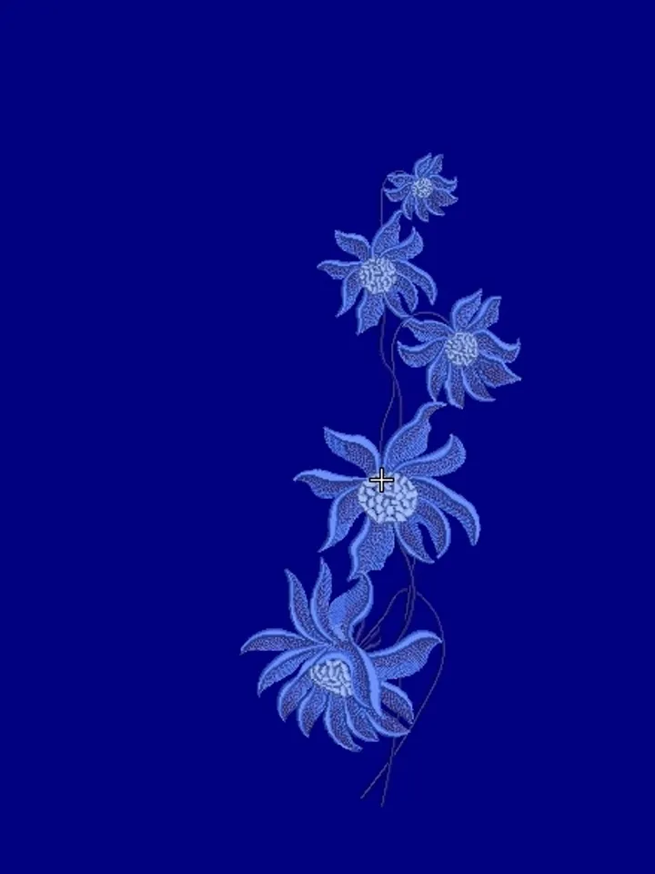 Chrysanthemum