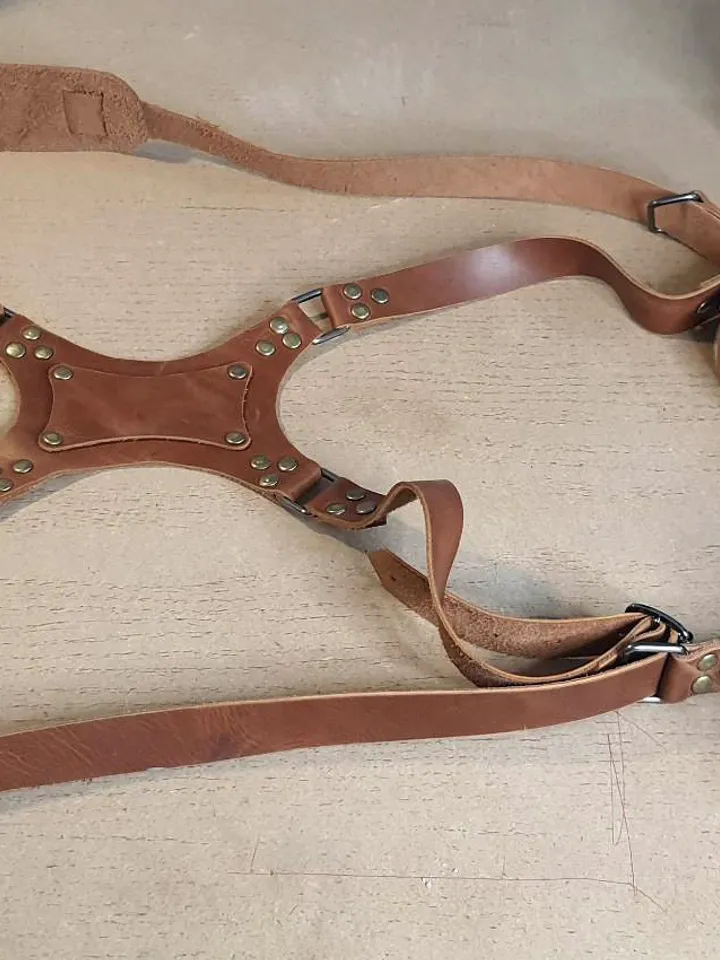 Personalized Dual Camera Strap, photographer holster, Handmade Leather Camera Harness, camera belt