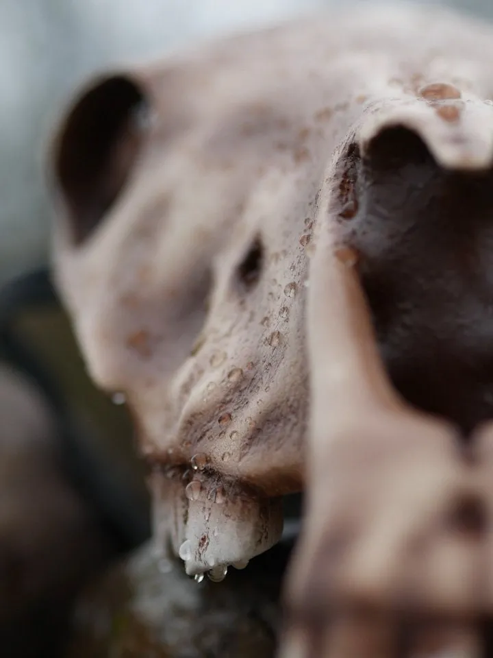 Horse Skull Mask Without Jaw, Horror Mask, Realistic Skull Mask, halloween scary mask, creepy mask, skull costume mask, shamanic mask