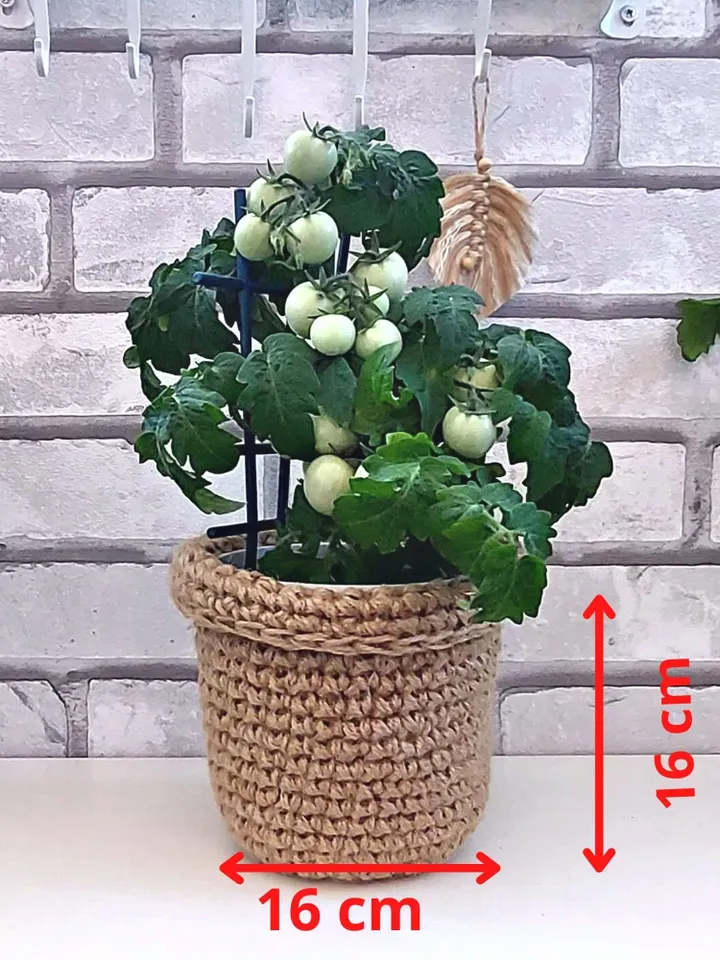 Flower's plant hanger Wall garden decorating ideas Kitchen and dining eco gift