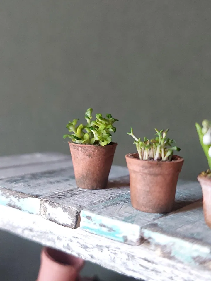 Miniature 1:12 realistic greenery, sprouts, seedlings in a pot for a dollhouse, for a rumbox, a doll garden, miniature plants.