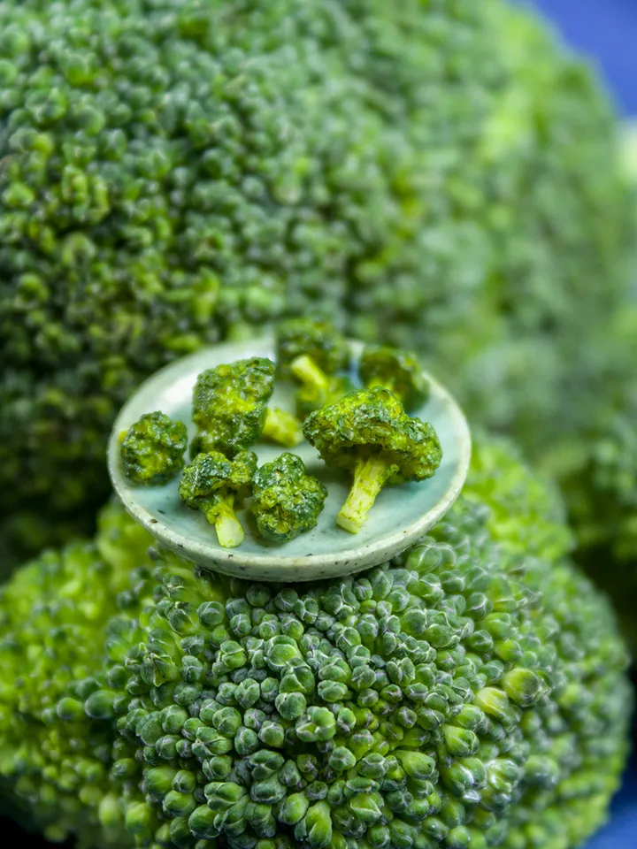 TUTORIAL Miniature broccoli with polymer clay