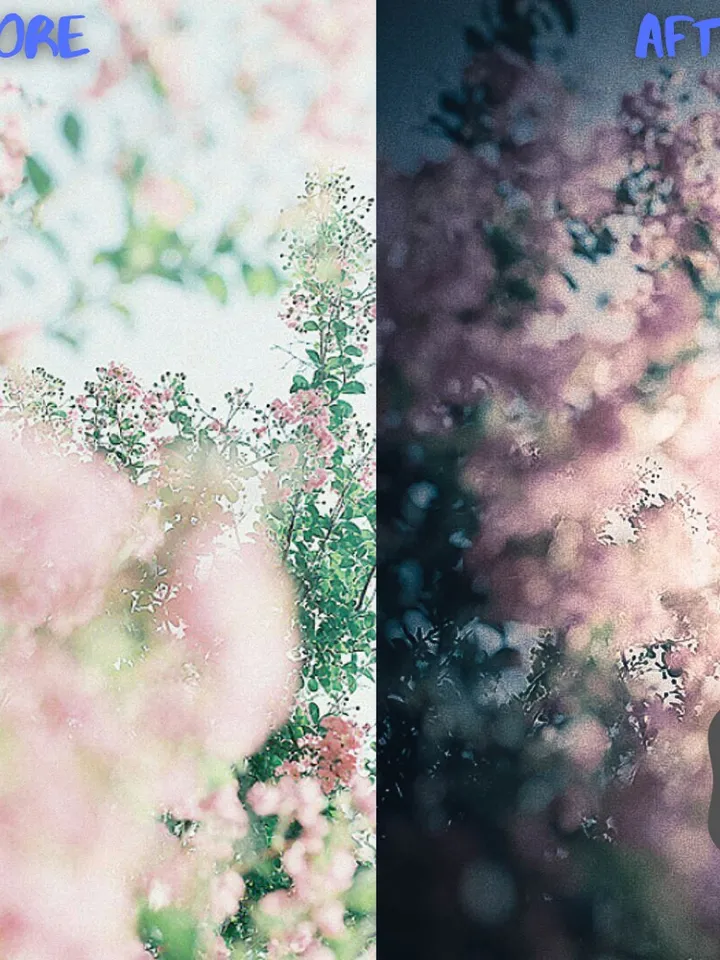 105 Pastel Lightroom Presets Exclusive Collection, Desktop Presets, Pastel Preset, Bright Presets, Photo Presets, Mobile Presets