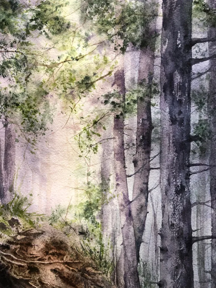 Forest Original Watercolor Painting Sunset Landscape Artwork