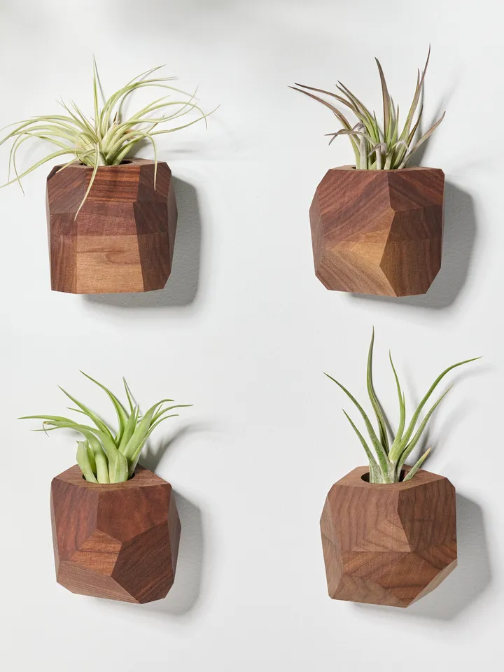 Set of 4 Walnut Geometric Air Plant Holder