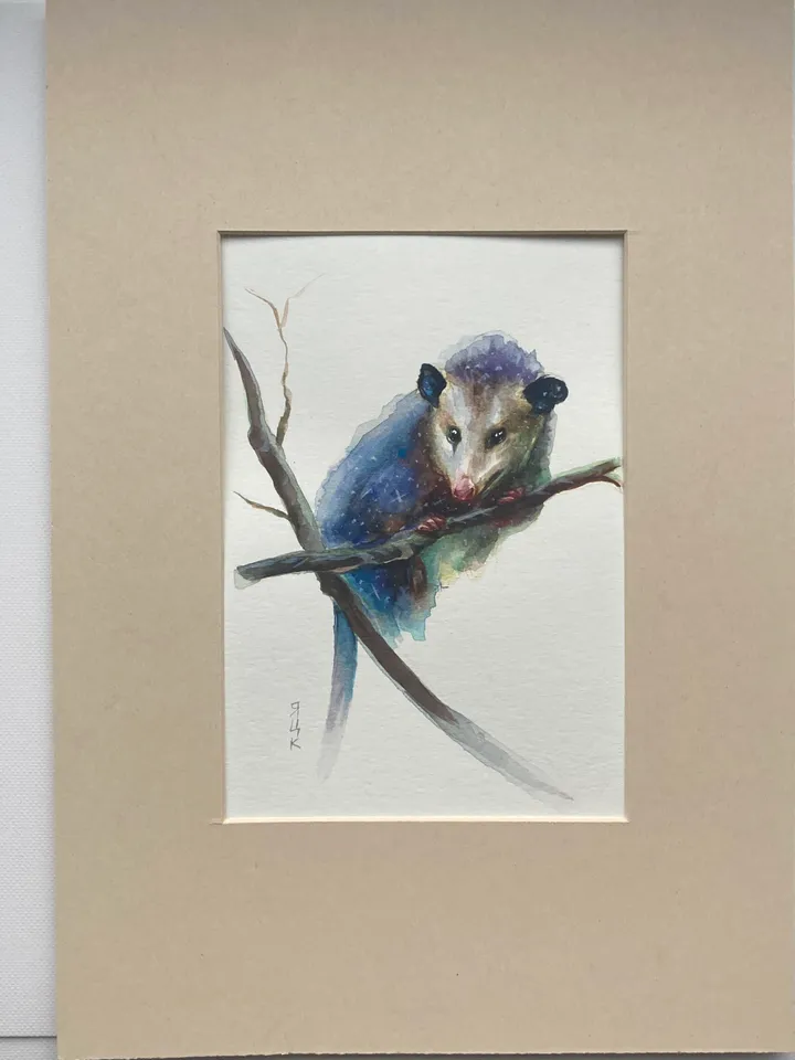Opossum Painting Original Watercolor Painting Gift Small Animal Art Opossum Illustration Witchy Animals