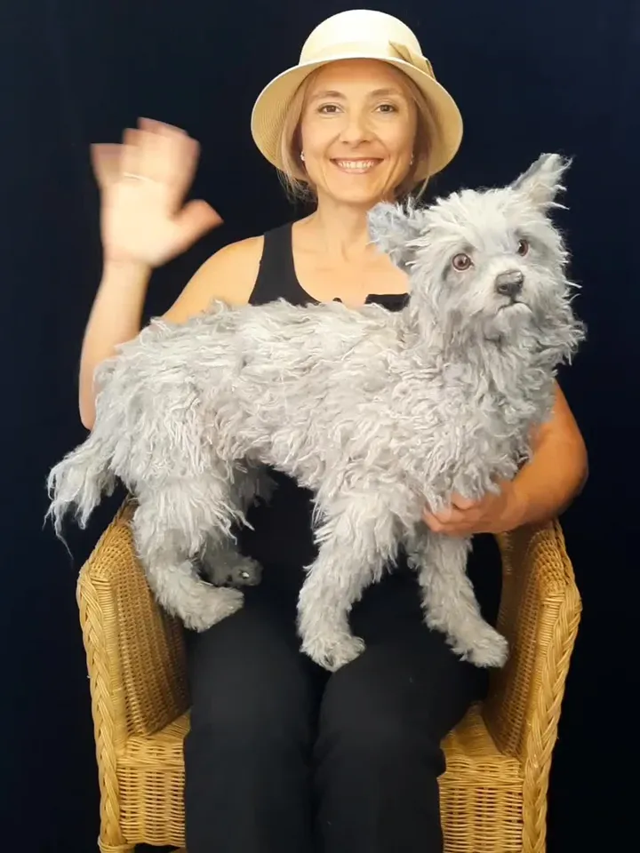 Dog Jeck realistic plush toy (custom order)