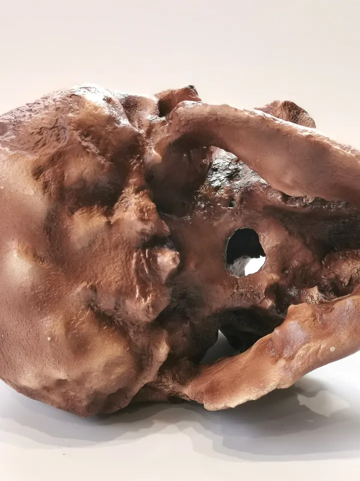 Homo Erectus Georgicus Skull Replica, Prehistoric Fossil Collection, Realistic Hominid Skull