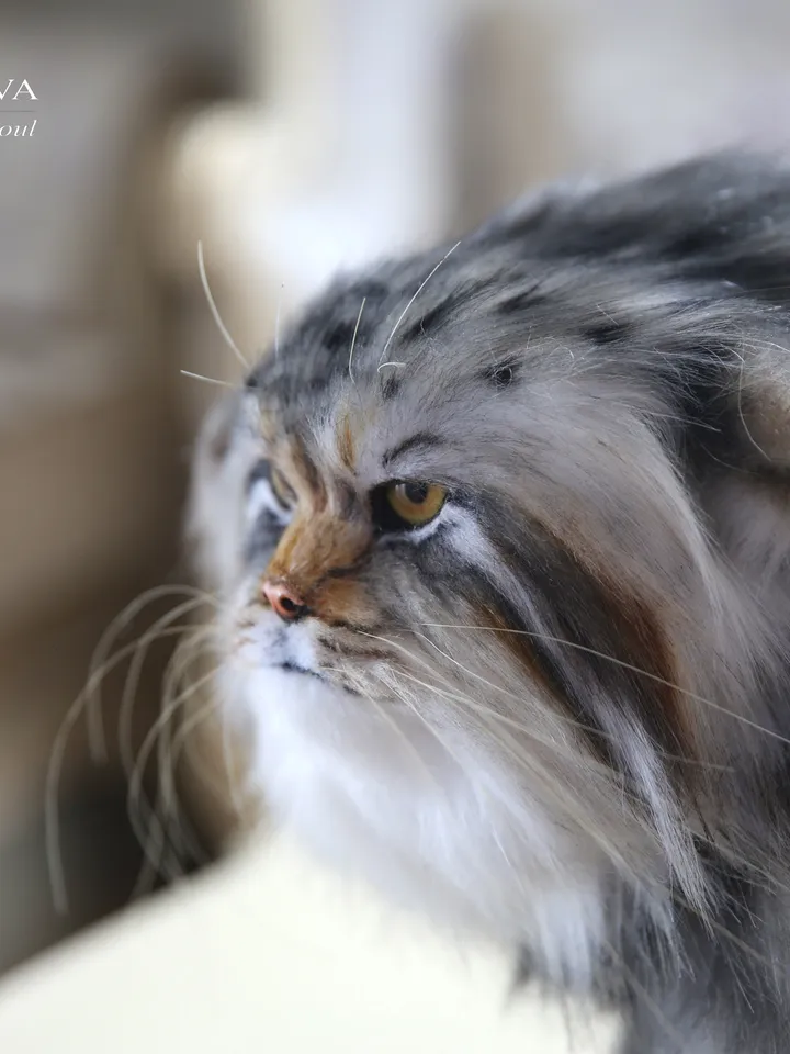 Pallas cat realistic plush animals. Ooak toy. Realistic manul stuffed toy