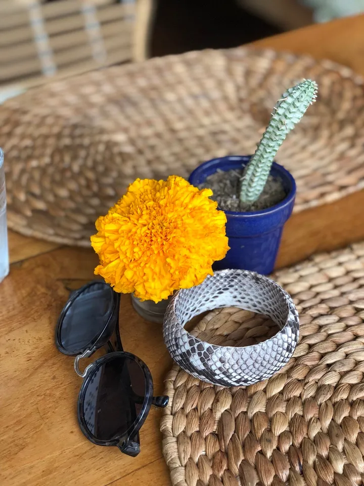 FAST SHIPPING Genuine python skin round bracelet, pythonskin leather bracelet, bangle gray leather bracelet, wide bracelet python