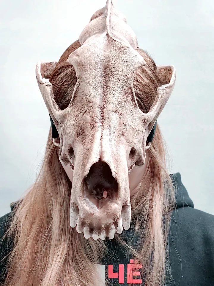 Wolf head mask, Realistic Skull Mask, wolf mask, resin skull mask, tribal headpiece, Headpiece skull, ritual mask, pagan headdress