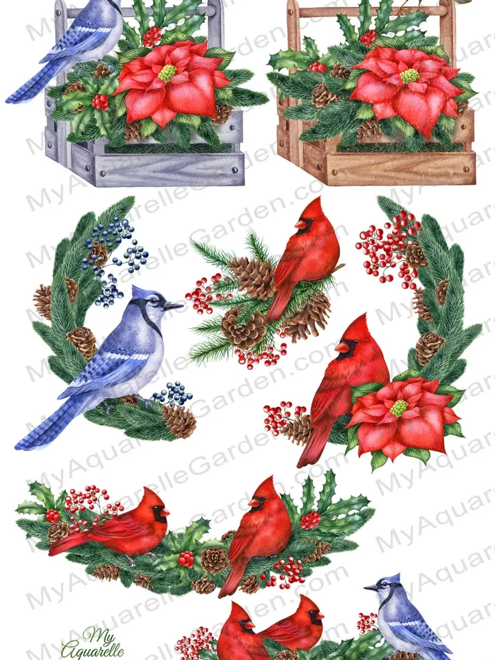 Christmas birds Blue jay red cardinal robin Xmas pine garlands Watercolor hand-painted clipart Wishes cards stickers wall art Printable PNG