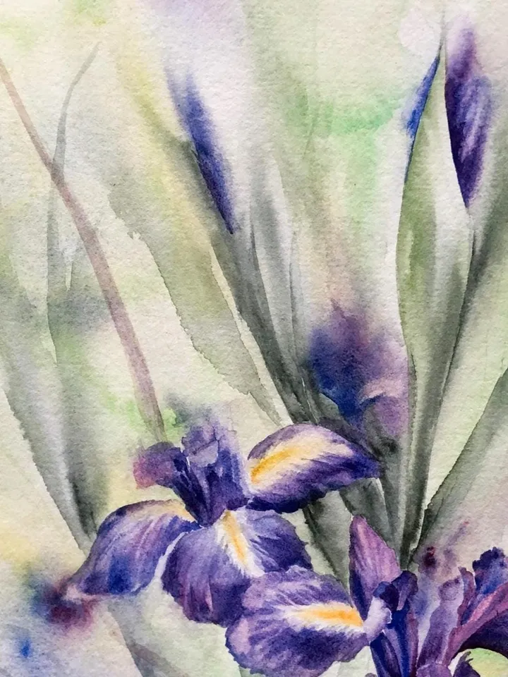 Flowers Original Painting Iris Painting Floral Watercolor Wall Art