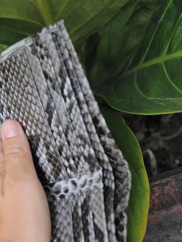 Genuine Python Skin Men Flat Wallet | Exotic Leather Money  Wallet | Gift For Him | Money Clips and Wallet | Grey Portmone Handmade