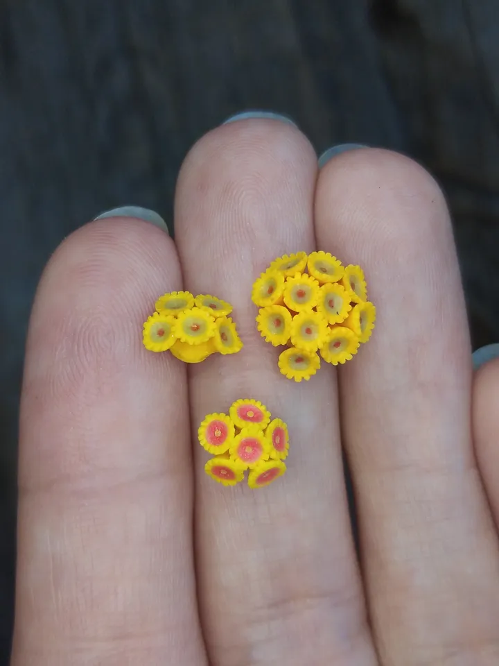 Set of miniature Zoanthus corals, tiny corals for diorama, dollhouse or resin art