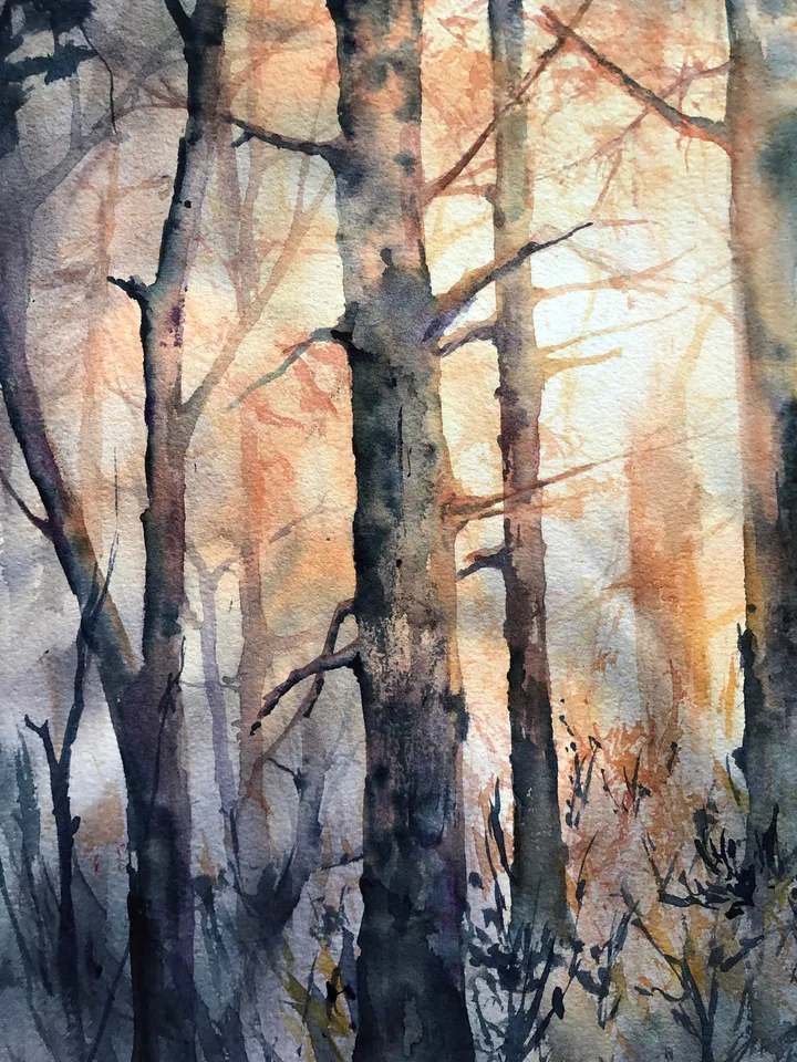 Forest Original Painting Watercolor Sunset Painting Trees Landscape Wall art