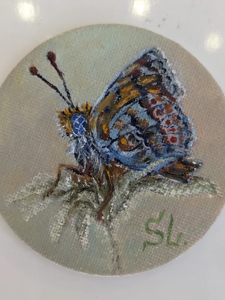 Butterfly Miniature Set Oil Painting Magnetic Round Canvas 3 Inch