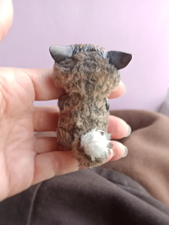 Sly cat art doll