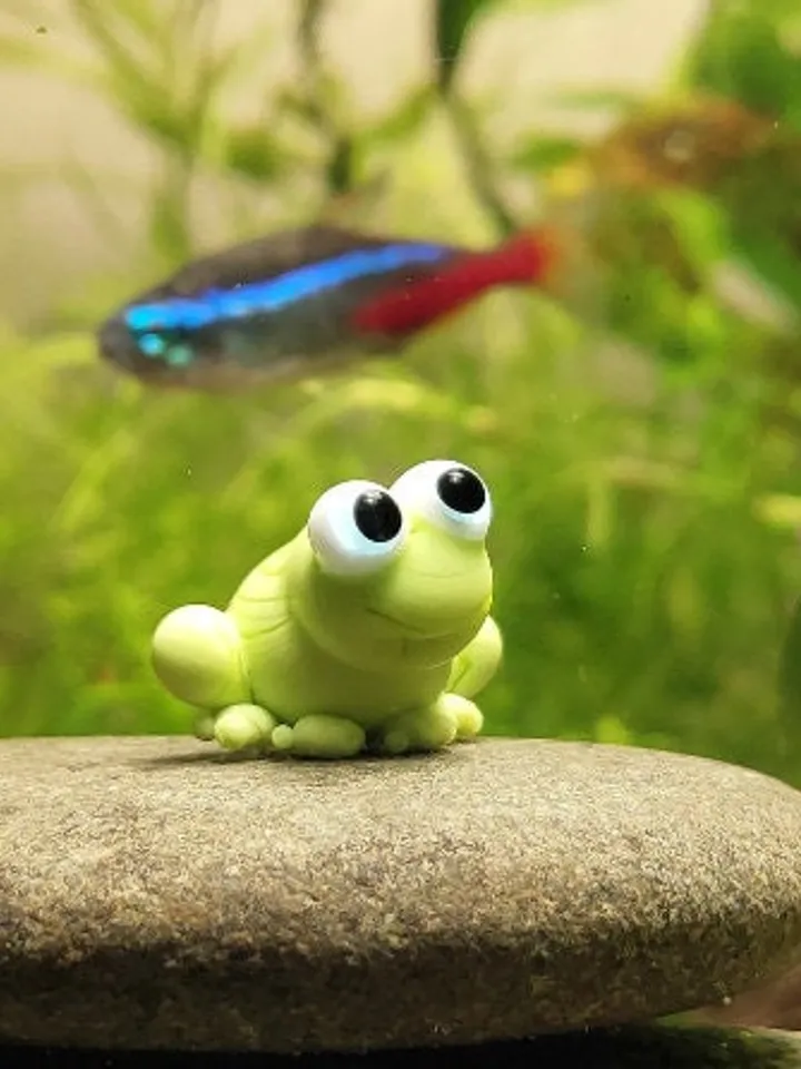 AQUARIUM DECORATION Frog figurine Small Aquarium decor Aquarium figurine Aquarium gifts Aquarium ornament Tiny frog Glass frog miniature
