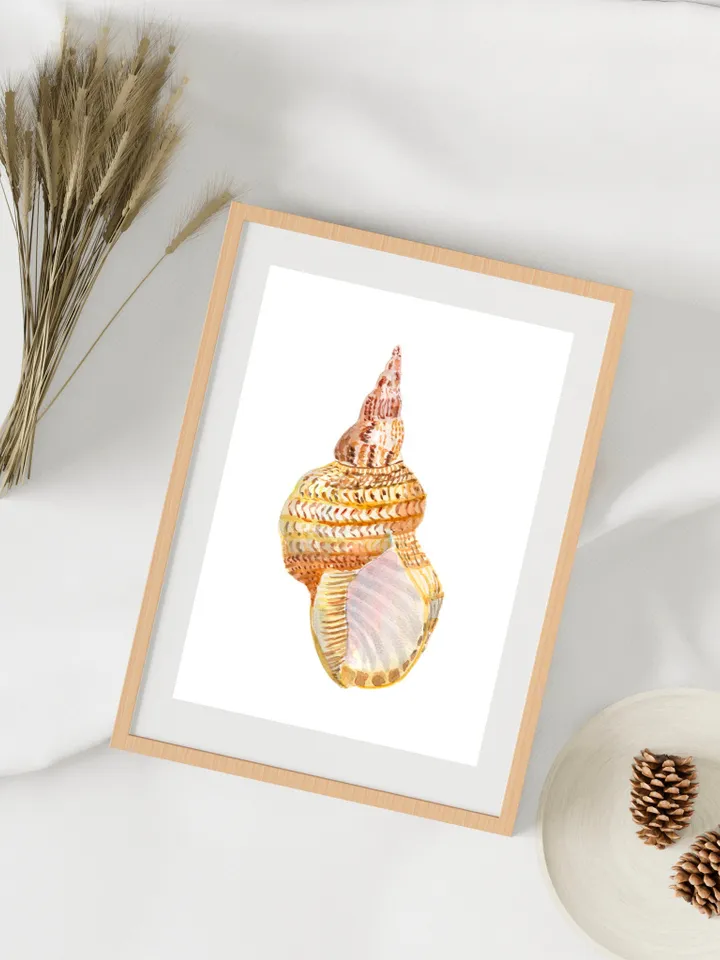 Shell art  Sea Shell Art Shell Decor Beach Cottage Art Sea Shells Painting Marine Aqua Beach House Art Beach Art Marine Aqua