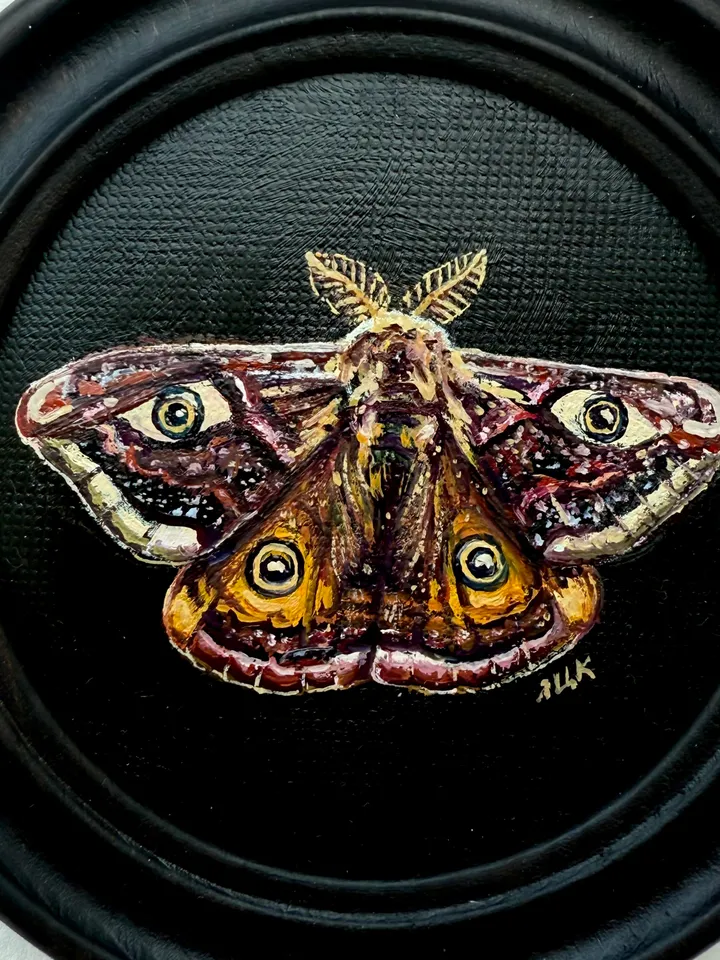 Moth Painting Original Gold Frame Art Round Oil Painting Small Dark Academia Original Painting Dark Framed