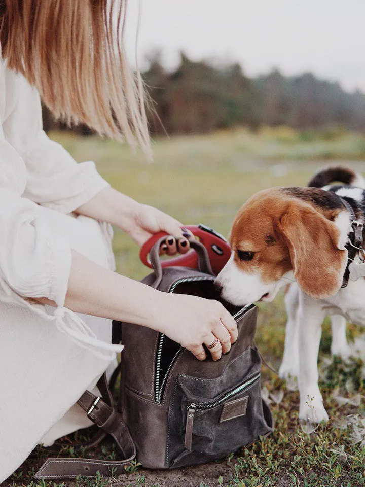 Dark Pink Campus Leather Backpack Simple backpack Small Women’s Backpack Crimson backpack Mini backpack Minimalist backpack Gift for Her