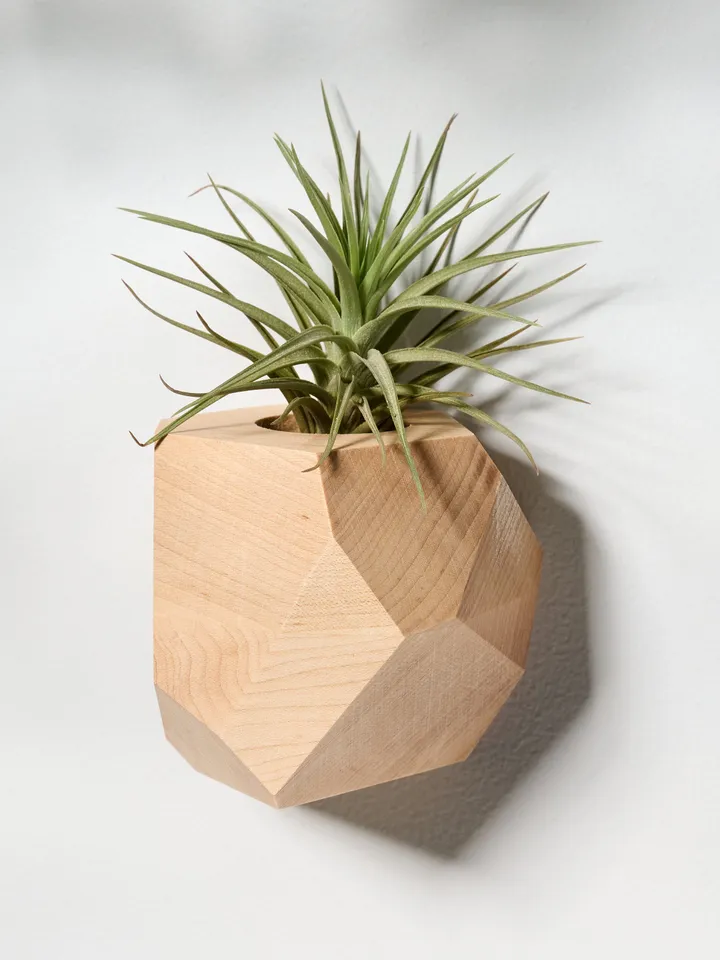 Set of 4 Maple Geometric Air Plant Holder
