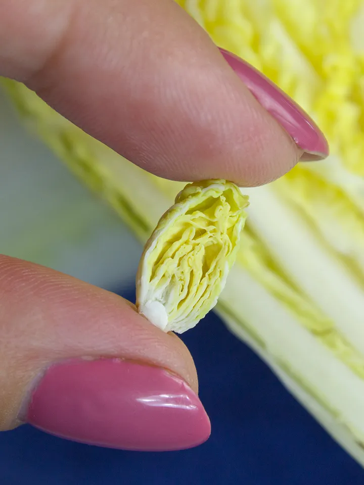 TUTORIAL Miniature napa cabbage with air dry clay