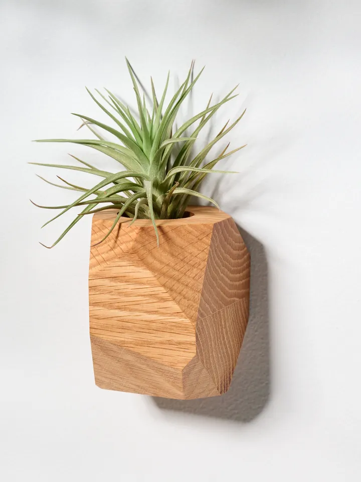 Set of 4 Red Oak Geometric Air Plant Holder