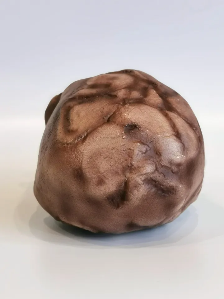 Homo Habilis OH 24 Twiggy Skull Replica, Prehistoric Fossil Collection, Realistic Hominid Skull, Museum Quality