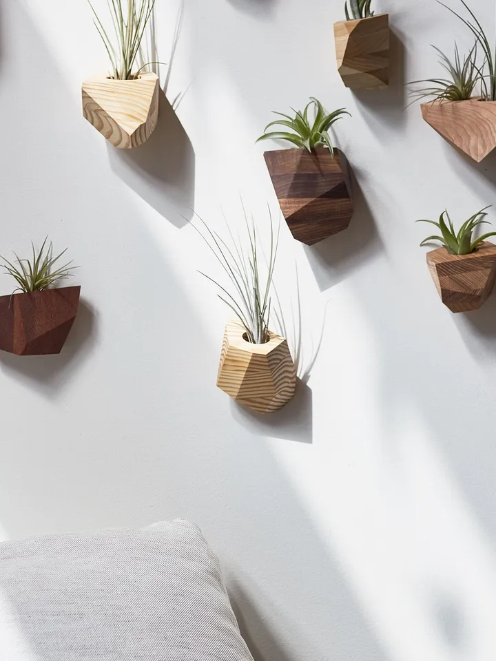 Walnut Geometric Air Plant Holder