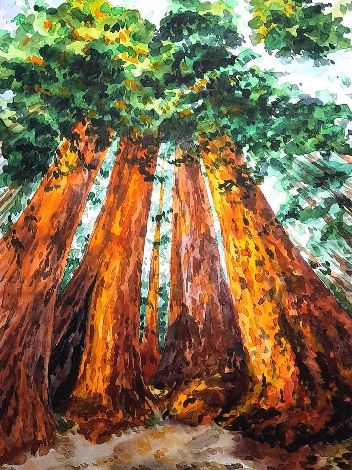 Redwood Painting Watercolor Original Art Sequoia Painting California Art 16 by 11 National Park Wall Art by TatianaArtShop