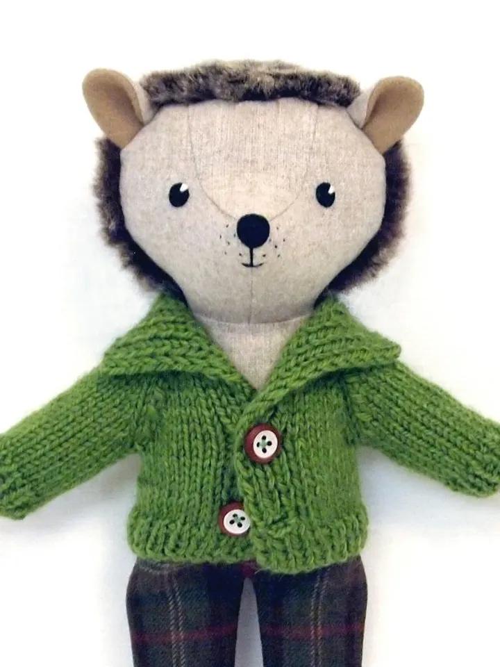 Hedgehog boy, wool stuffed plush toy, handmade animal doll, hedgehog soft toy