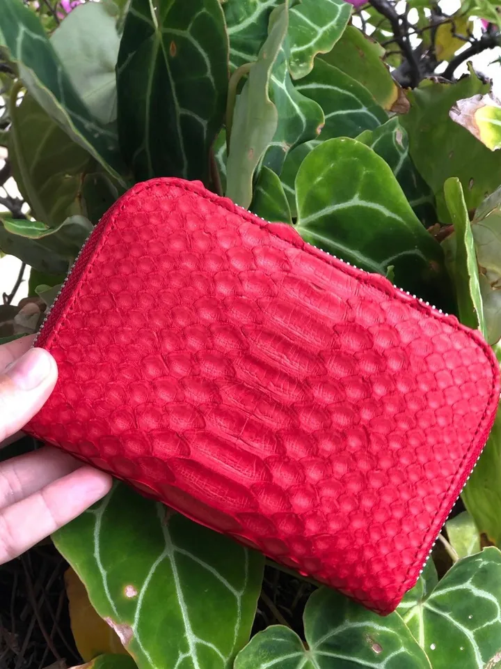 Genuine python skin red wallet | Small wallet | Exotic leather wallet | Women wallet | Snake trendy Wallet | Snakeskin designer wallet