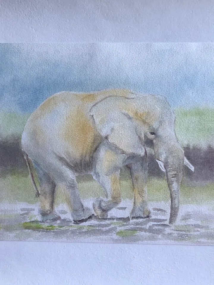 Elephant animal painting living room wall art original watercolour hand painted modern painting