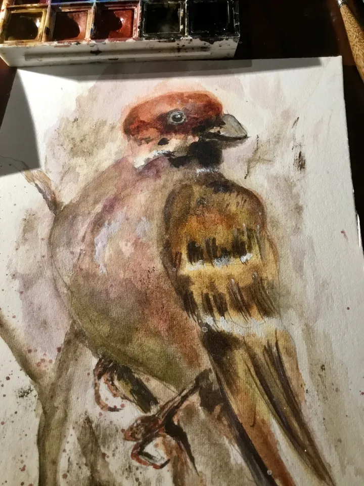 Bulfinch bird original watercolour painting,unique handmade gift,home decoration,birds painting,small paintings wall decoration.