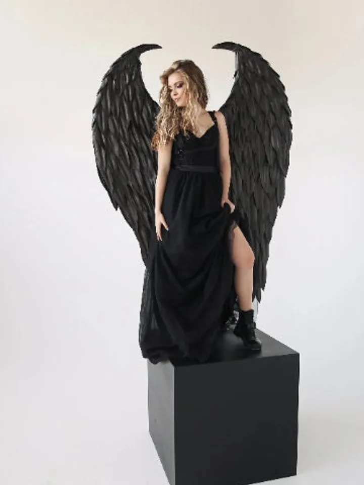 Maleficent's wings, maleficent's cosplay, maleficent costume, Halloween costume, black wings, black angel,wings photography, angel wings