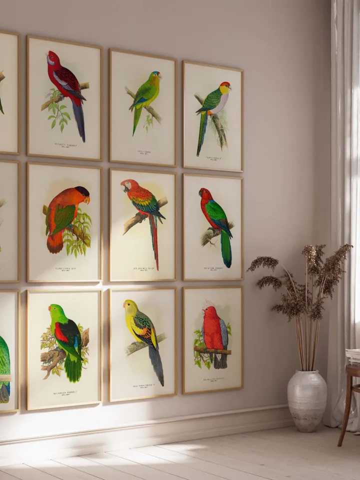 80+ Vintage Parrot Illustration Bundle Colorful Bird Wall Art Retro Parrot Prints Eclectic Antique Style Digital Download for Bird Lovers