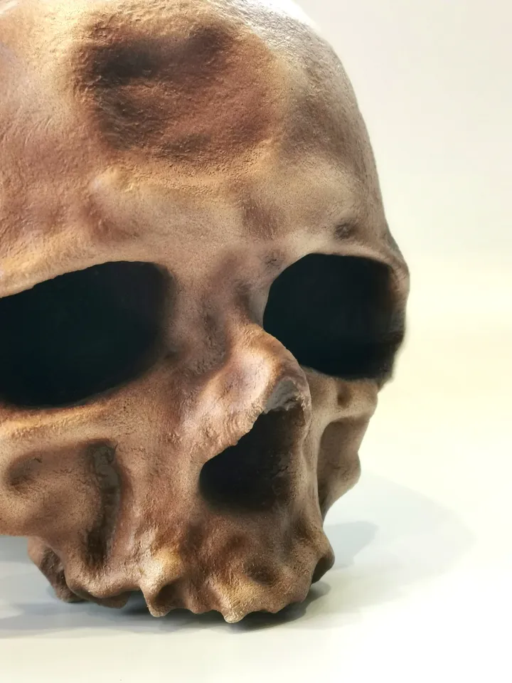 Homo Sapiens Cro-Magnon Skull Replica without Jaw, Prehistoric Fossil Collection, Realistic Hominid Skull, Museum Quality