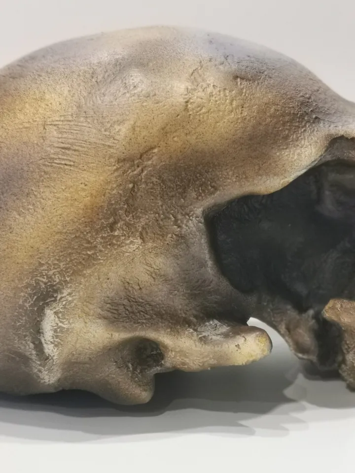 Homo Neanderthal from Monte Circeo 1 Skull Replica, Prehistoric Fossil Collection, Realistic Hominid Skull, Museum Quality