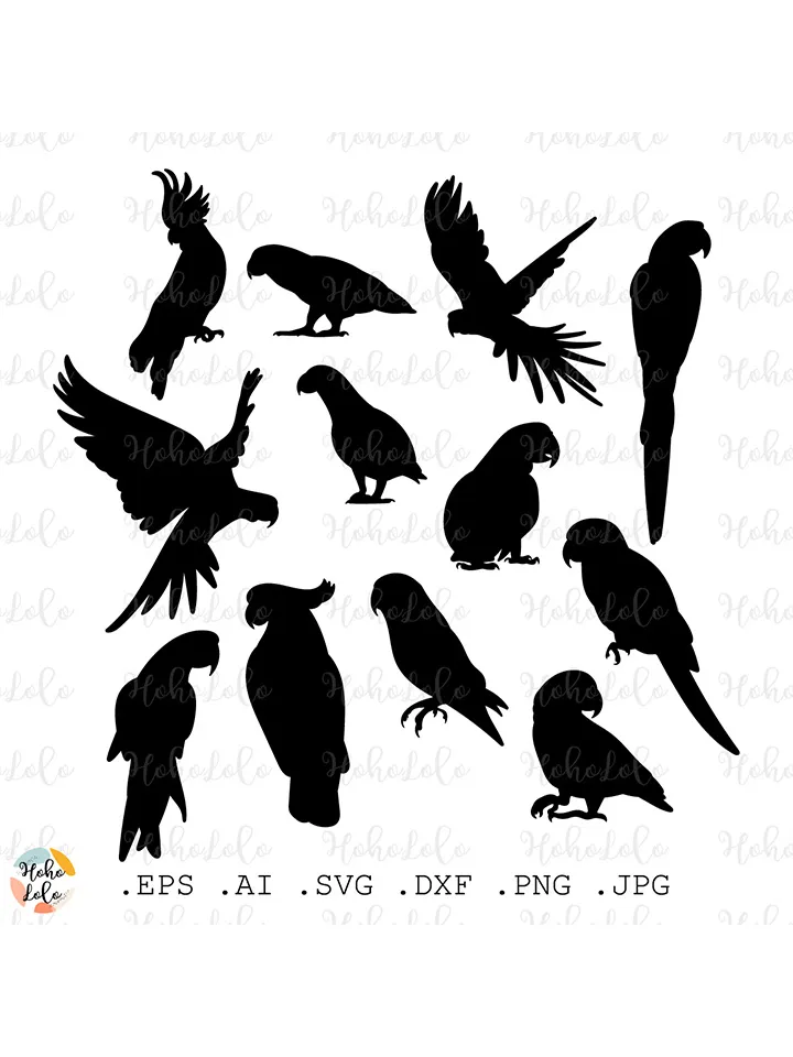 Parrot Svg, Parrot Silhouette, Parrot Cricut, Parrot Stencil, Parrot Templates Dxf, Parrot Clipart Png