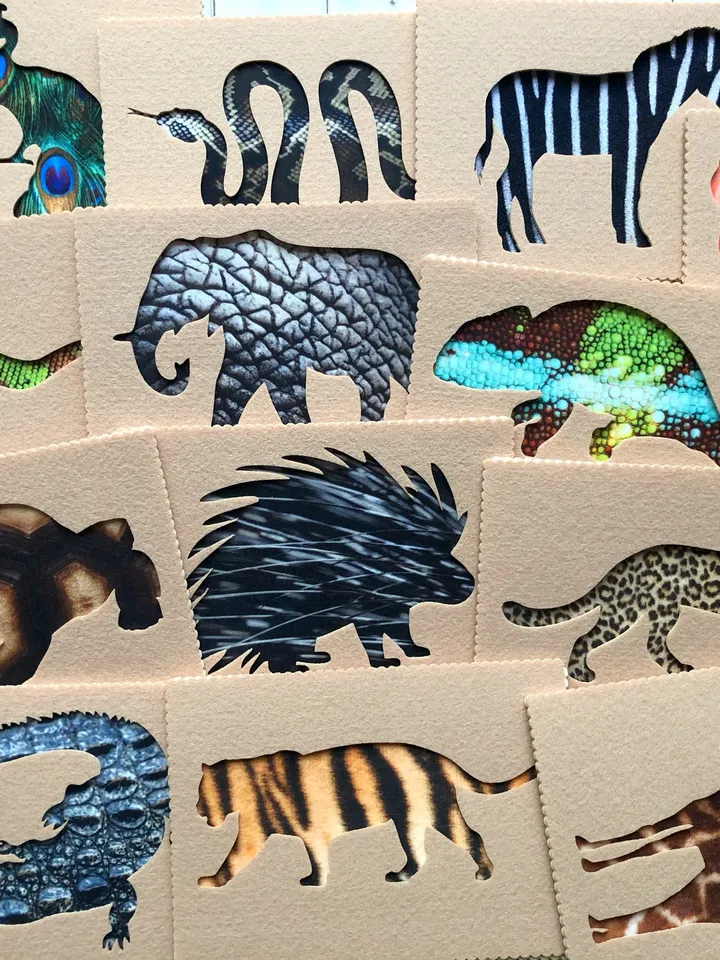 full set of tactile cards about animals