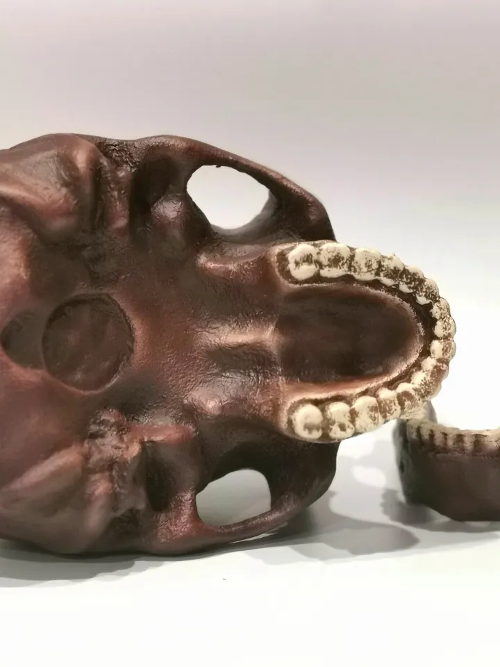 Homo Erectus Pekinensis Skull Replica, Prehistoric Fossil Collection, Realistic Hominid Skull, Museum Quality